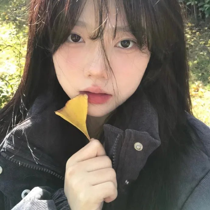 太极旗飘扬