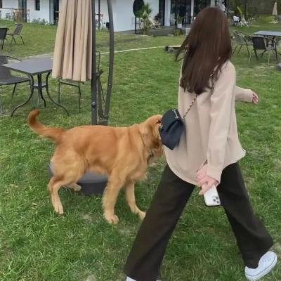 火舞丽人